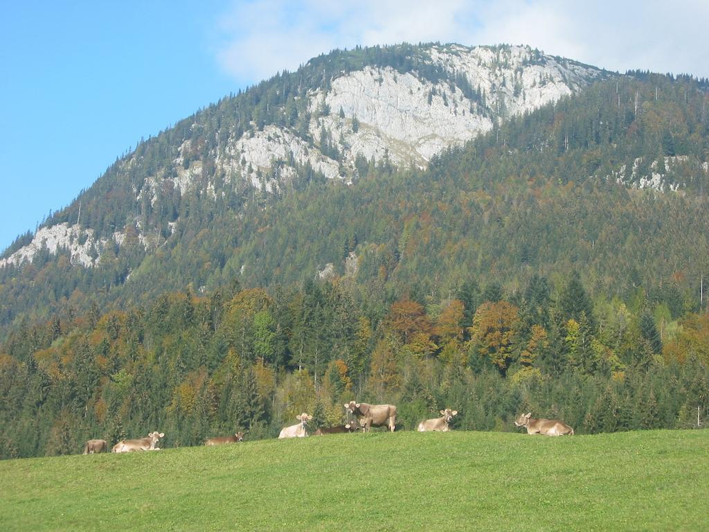 Bauernhof Haim-Schnepfleitner Pichl bei Aussee المظهر الخارجي الصورة